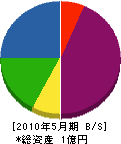 齋藤木工 貸借対照表 2010年5月期