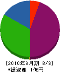 松本建設 貸借対照表 2010年6月期