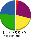 西大田グループ 貸借対照表 2012年6月期