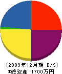 前田電気商会 貸借対照表 2009年12月期