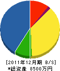 玉井組 貸借対照表 2011年12月期