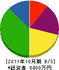 池田建設工業 貸借対照表 2011年10月期