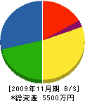 平井電設 貸借対照表 2009年11月期