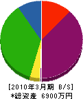 田口塗装店 貸借対照表 2010年3月期