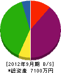 橋本 貸借対照表 2012年9月期