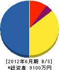 中川工業 貸借対照表 2012年6月期