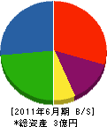 芹澤建設 貸借対照表 2011年6月期