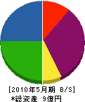 田村建材 貸借対照表 2010年5月期