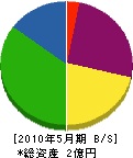 勝川建設 貸借対照表 2010年5月期