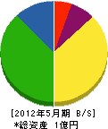 沖縄みつわ 貸借対照表 2012年5月期
