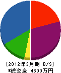 齋藤技建 貸借対照表 2012年3月期