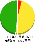 桐谷電気商会 貸借対照表 2010年12月期