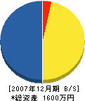 中橋建設 貸借対照表 2007年12月期