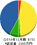伊藤水道設備 貸借対照表 2010年12月期