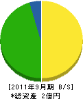 松村建設工業 貸借対照表 2011年9月期