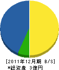 川澄建設 貸借対照表 2011年12月期