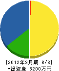 蛭田電気工業所 貸借対照表 2012年9月期