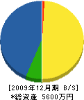 坂井設備工業 貸借対照表 2009年12月期