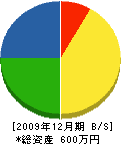 田辺設備工業所 貸借対照表 2009年12月期