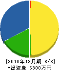 秋永園芸 貸借対照表 2010年12月期