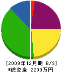 二宮電気 貸借対照表 2009年12月期