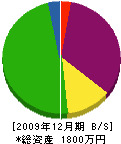 鹿島電気水道設備 貸借対照表 2009年12月期