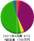 寺嶋工務店 貸借対照表 2011年9月期