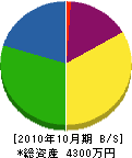 佐野電気商会 貸借対照表 2010年10月期