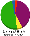 田村組 貸借対照表 2010年5月期