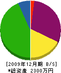 梅川工務店 貸借対照表 2009年12月期