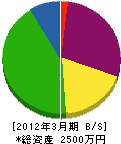 比謝川電気工事業（同） 貸借対照表 2012年3月期