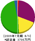 上田工業 貸借対照表 2009年7月期