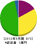 日新電気工事 貸借対照表 2012年9月期