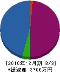 光伸電機 貸借対照表 2010年12月期
