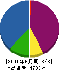 阪本土建 貸借対照表 2010年6月期