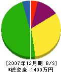 賀川建設 貸借対照表 2007年12月期