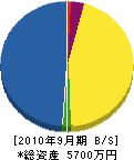 タケダ電機 貸借対照表 2010年9月期