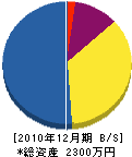 岩崎造園土木 貸借対照表 2010年12月期