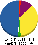 田村工業 貸借対照表 2010年12月期