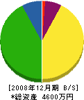 鈴木畳店 貸借対照表 2008年12月期