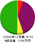 日東電業 貸借対照表 2009年12月期