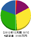 昭永緑化 貸借対照表 2012年12月期