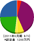 田中造園 貸借対照表 2011年6月期