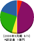 京都システムエンジニアリング 貸借対照表 2008年9月期