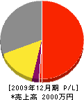 嶋田工務店 損益計算書 2009年12月期