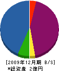 エッシー 貸借対照表 2009年12月期