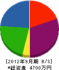 渡辺ホームガーデン 貸借対照表 2012年9月期
