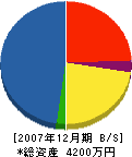 薮本建設 貸借対照表 2007年12月期
