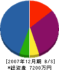 吉成建設 貸借対照表 2007年12月期