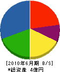 武田組 貸借対照表 2010年6月期